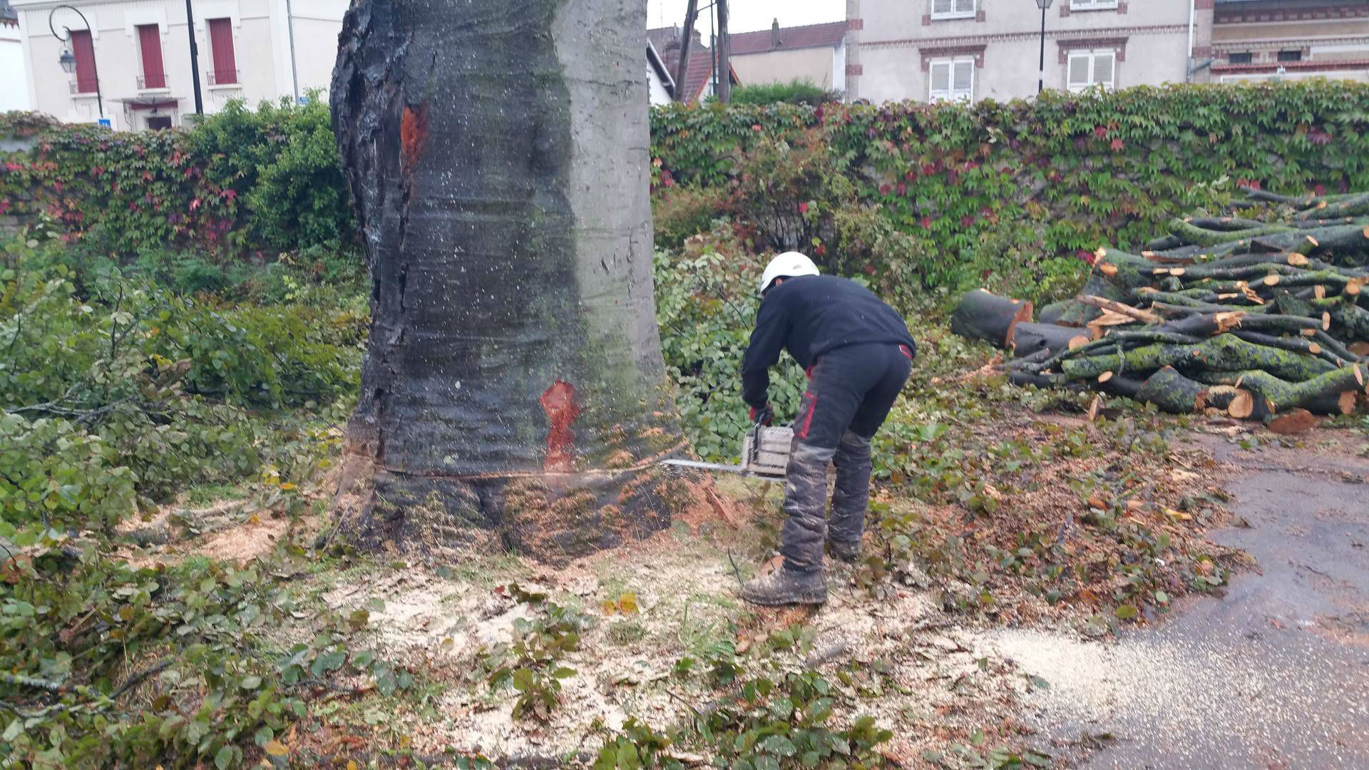 Abattage d'arbre, Arbre et Espace, élagage, Auxerre, paysagiste, Nevers