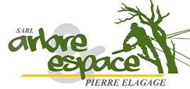 ARBRE ESPACE